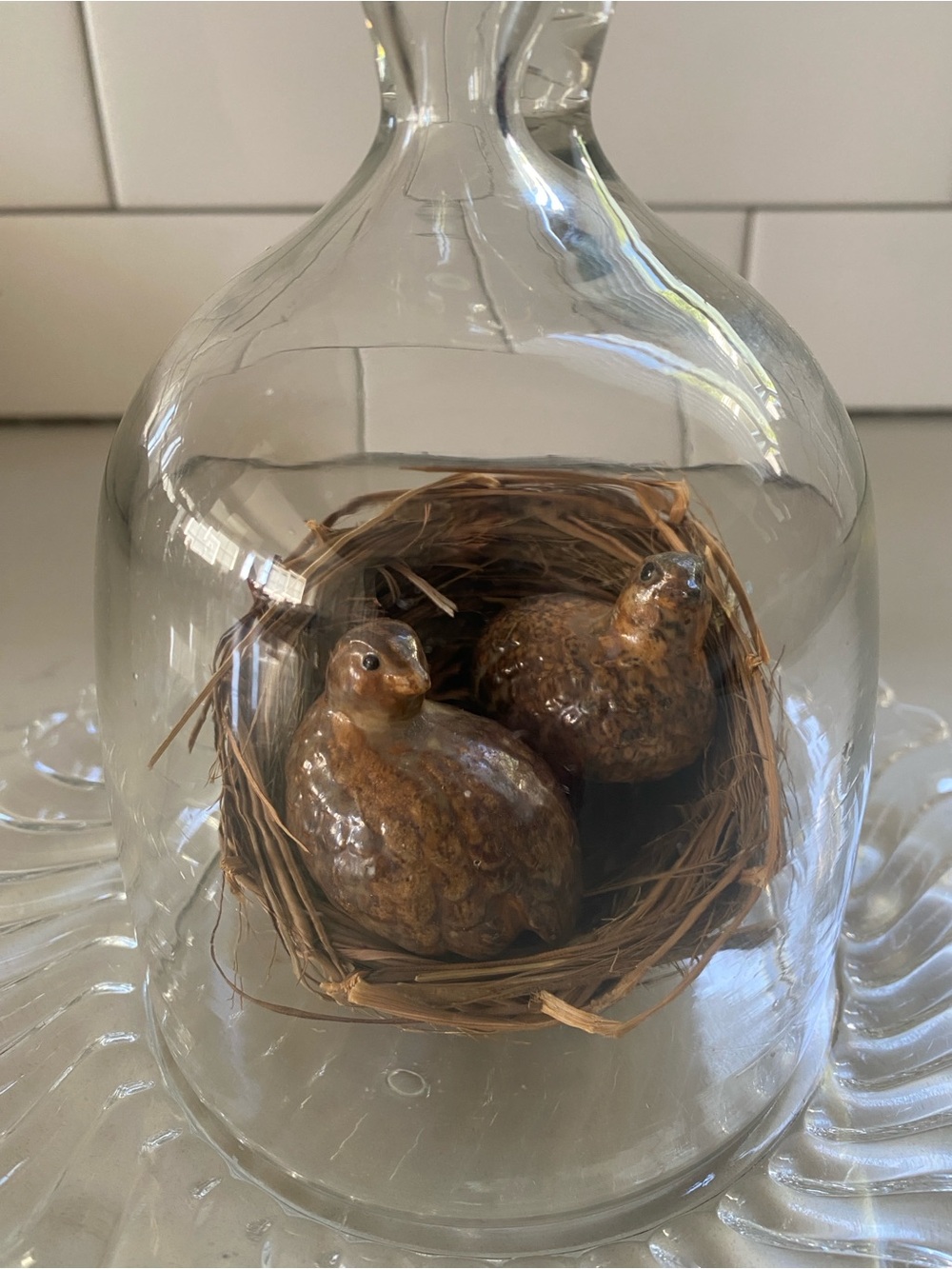 Mini Clear Glass Dome Cloche with Scalloped Plate